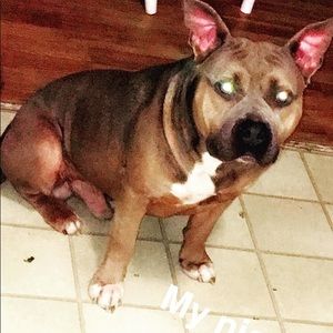 Meet your Posher, Shyheim